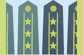 担任地方常委的正团职战友，是退休好，还是转业好图片