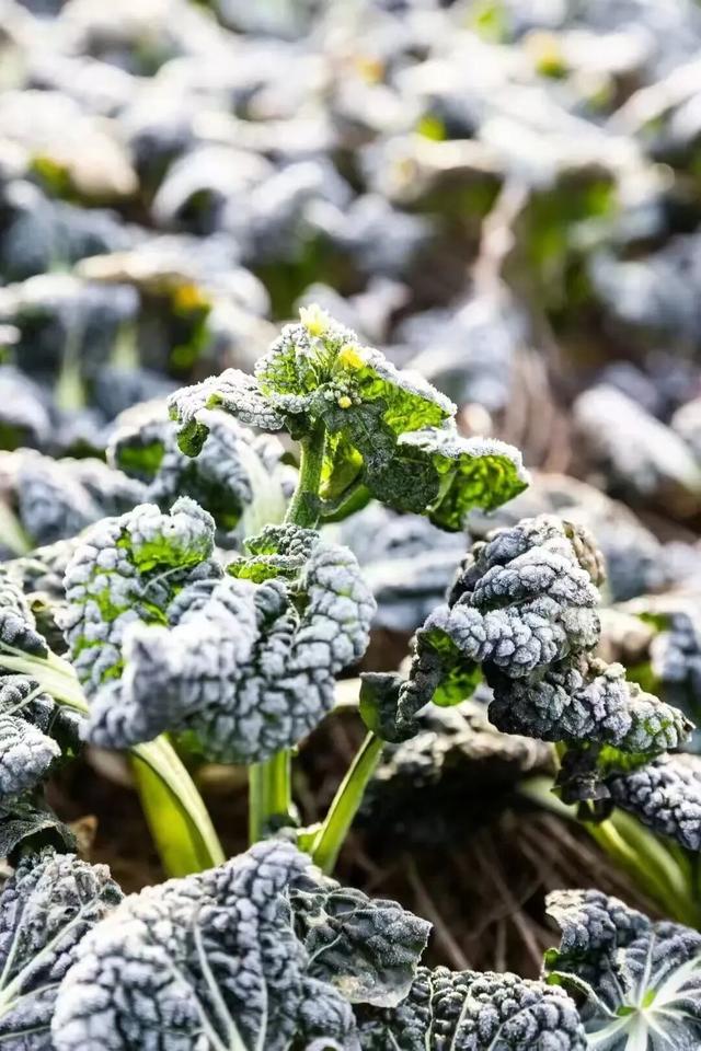聚焦！央视一套《寻味山海》走进随州