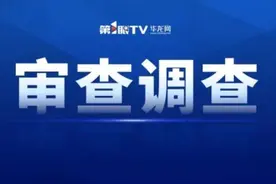 李付平、陶婷婷、王俊林，同日被查图片