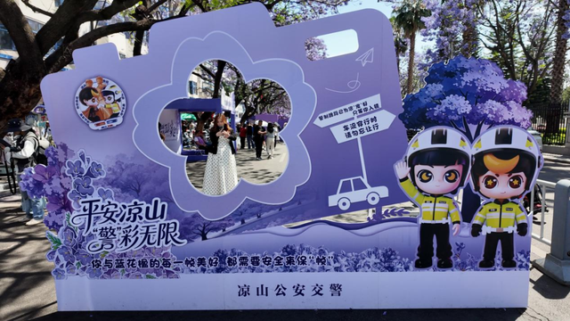 赴一场紫色花事｜西昌蓝花楹打卡点位全部准备就绪