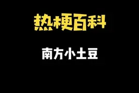 【热梗百科】“​南方小土豆”是什么梗？图片