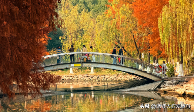 拥有王炸机位的浙江公园，其景“封神”，逛一圈，100％惬意！