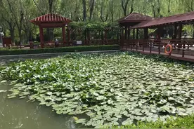 人品差的人，开口闭口就是这3句话，一定不能深交图片