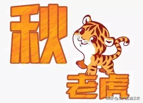 19号出伏，今年出伏不一般，农村老人总结:4大特点，4个要注意