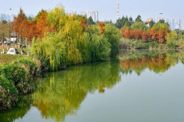 青睐绵阳 || 这里，绝美，超出片！