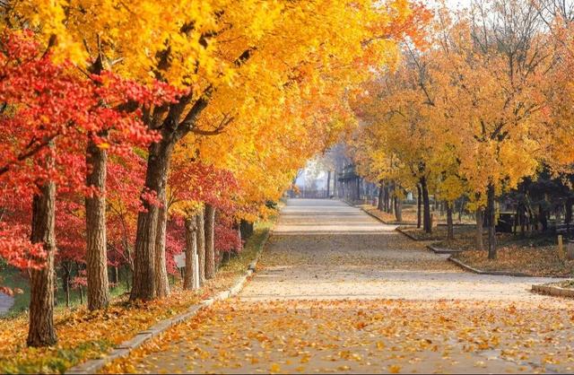 【多图预警！】这里不是5A景区，是鲁南制药！