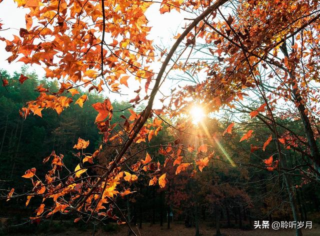 哪怕只有微光，也能在迷茫中指引方向