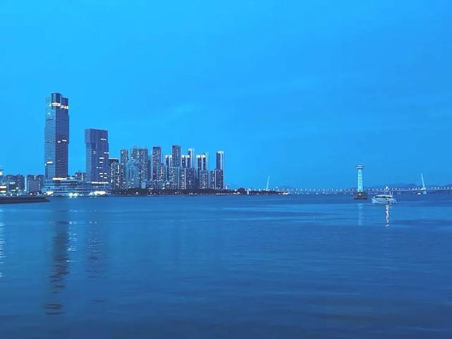 漫步前海：邂逅花海、踏浪听风，在摩天轮下收藏一城浪漫