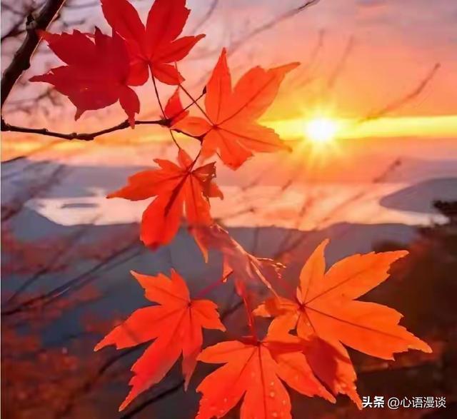 两性关系：女人暗示你可以“泡她”的6个信号，男人别再装傻了