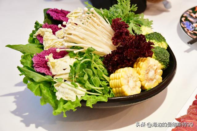 海边游记｜沙海狂飙与绿洲寻踪：内蒙古腾格里沙漠一日“历险记”