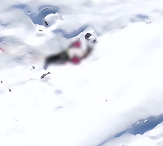 驴友雪山坠崖身亡，遇难画面曝光，身份被扒太可惜，网友却不同情