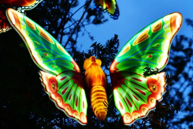 桂林:首届非遗千灯游园,光影艺术璀璨盛宴!