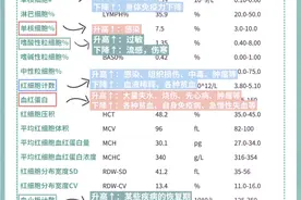 血常规报告别犯愁，一文教你轻松看！图片