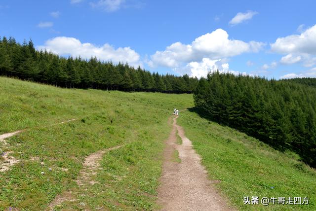 河北麻田岭（上）：绿野铺毡接云影、风轮伴路探山魂