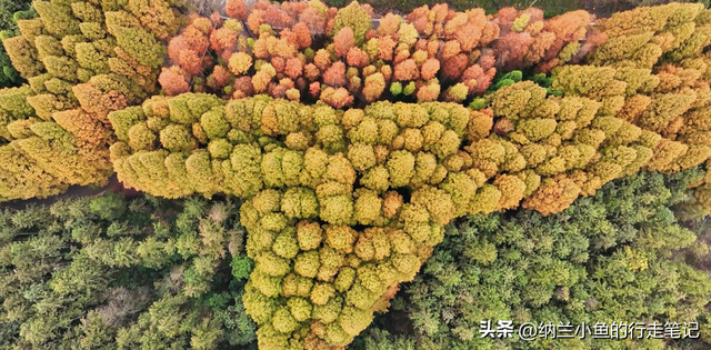 后悔现在才去！这座湖南与贵州交界处的小城，后劲太大了！
