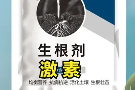 “生根剂”就是激素？不懂呢？记住一定不要乱用，科普从这里开始图片