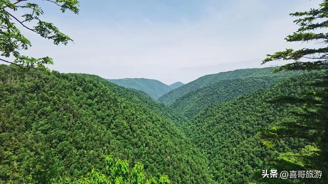 探秘龙江之巅：凤凰山国家森林公园纪行