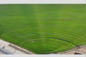 塔克拉玛干沙漠如何“锁边”？治沙三件套显成效图片