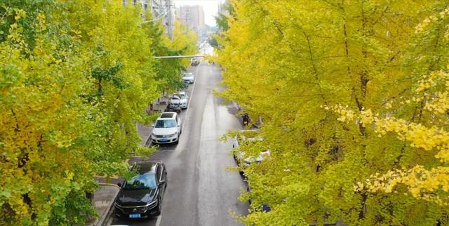 余庆的初冬,就藏在这些地方!