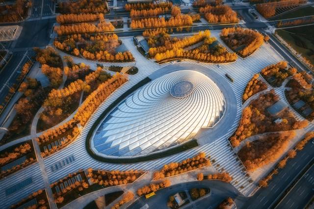 不藏了，推荐天津5个秋色仙境，最后一个惊艳了百年时光！