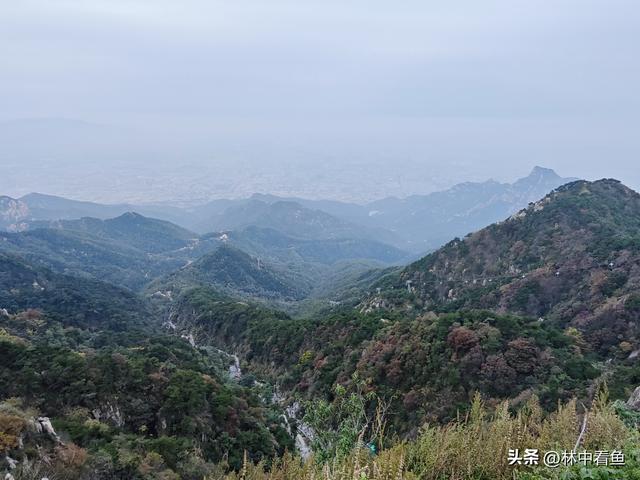 徒步登泰山之三——岱顶风光奇秀绝天下
