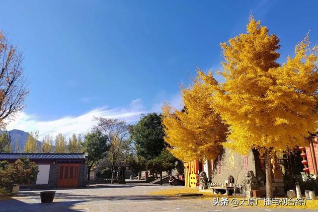 寻迹尖草坪丨初冬限定！这6处绝美风景，再不去真的要等一年！