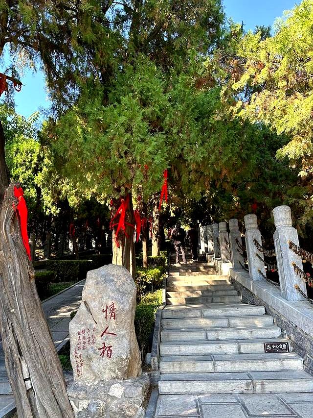 我是西安人，在河南鹤壁待了3天，憋不住想说说我的感受和疑问！