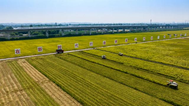 儋眉城市联动宣传特别报道丨东坡文化泽后世 “CP”双城谱新韵