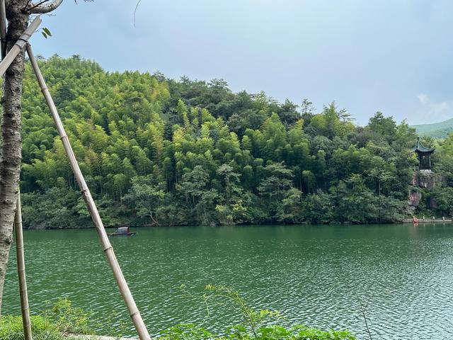 江苏宜兴竹海：周末度假的宝藏之地，开启一场竹林仙境之旅！