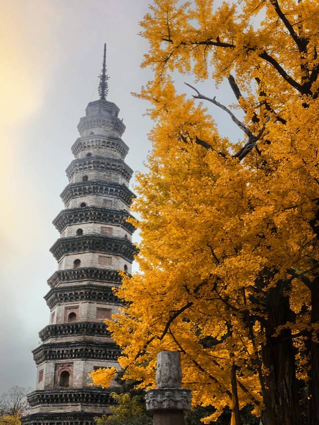 历经千年风雨，灵岩古刹金色盛宴为何“灿若新生”？