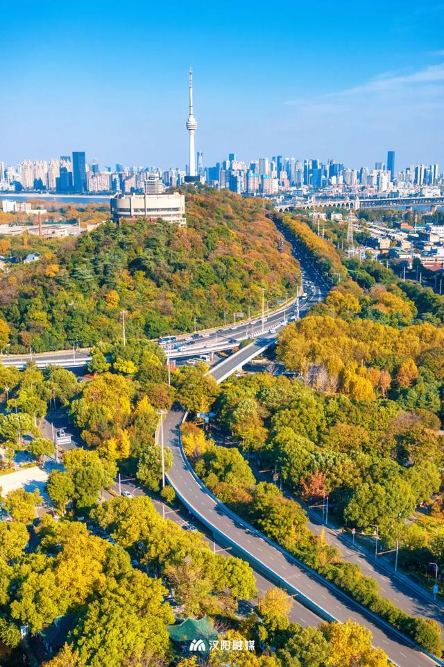 限时绝美！汉阳全城颜值巅峰，零换乘直达