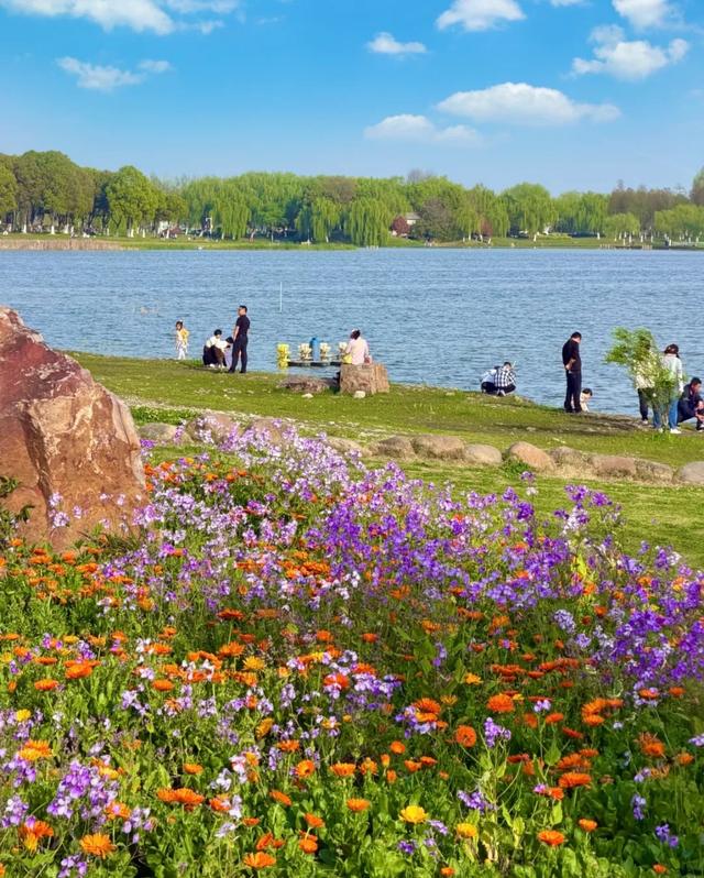 合肥版“赛里木湖”火了！好多人打卡