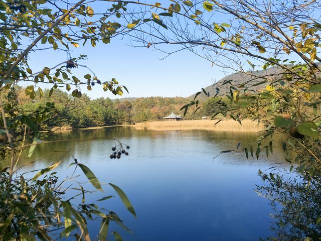 南京龙尚湖，大连山，佘村一日郊野徒步