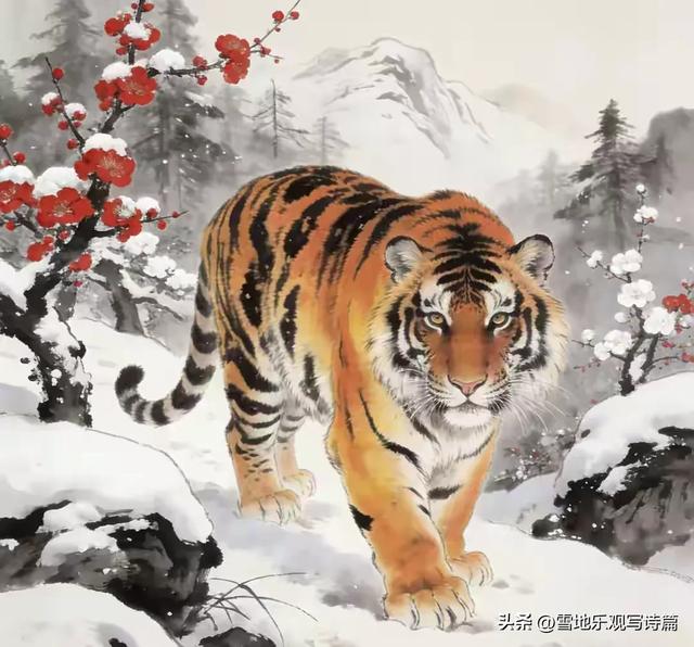 属虎人2026春节避忌:少去这4个地方,日子顺遂更兴旺