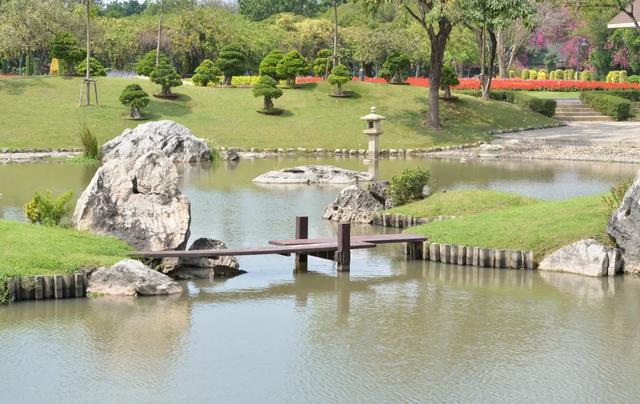 重庆彩云湖国家湿地公园，城市中难得宁静之地，感受大自然的魅力