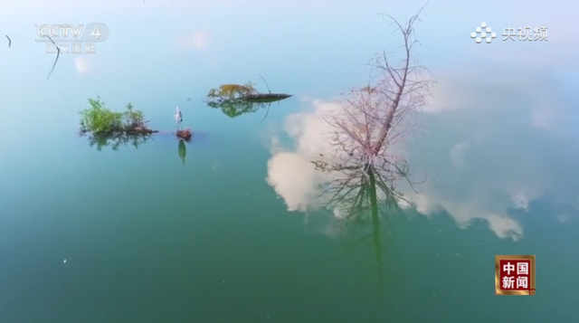 跟着央视三大频道一起赏昆明“限定款”秋色