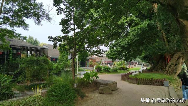 只有本地人喝茶垂钓的成都古镇，没有商业化，古建筑仅有一座塔