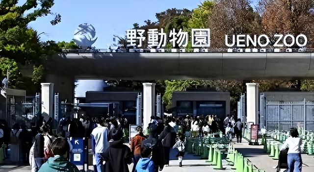 没有回旋余地，中国下令直接收回，17万日本人泪奔，高市闯祸了！