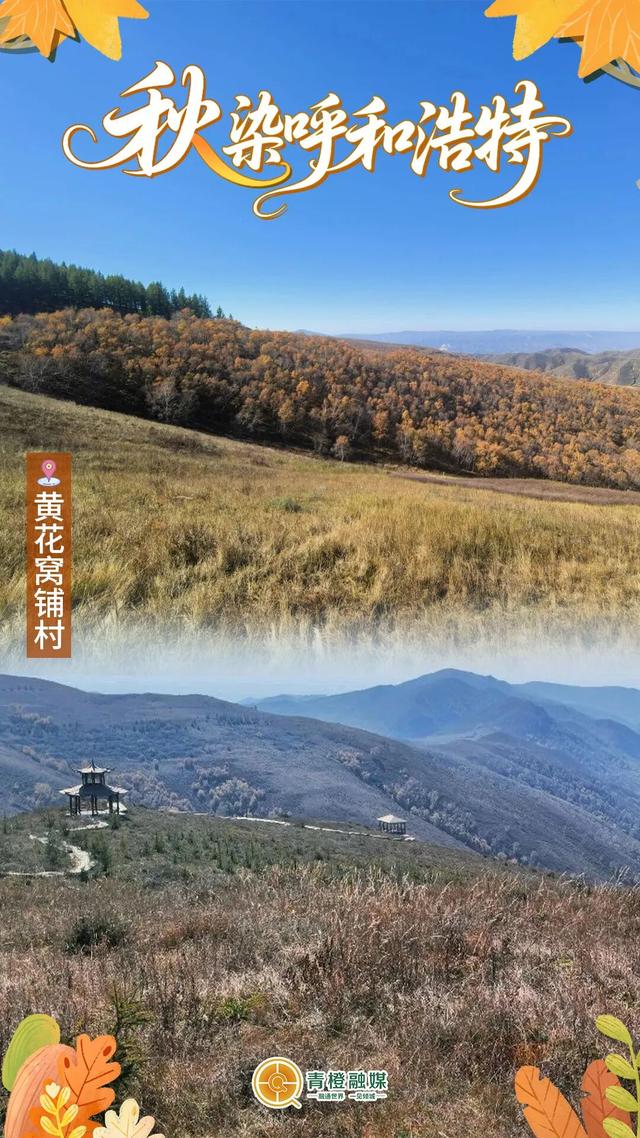 再过几天，呼和浩特就要变成这样了→