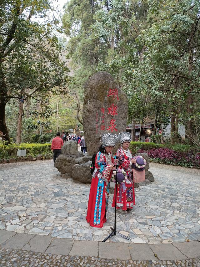 苍山洱海入梦中