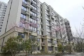 上海阿姨太开心！原拆原建马上搬回，配1600个车位，还有一个养老院…连80多棵老树都回来了图片