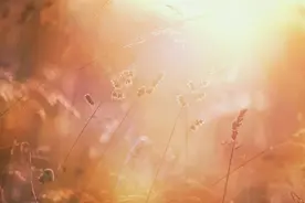 做人必须有的15个心机图片