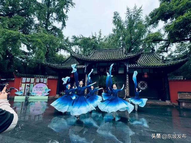 “活起来” “火起来” ！这个艺术团让东坡文化火出圈→