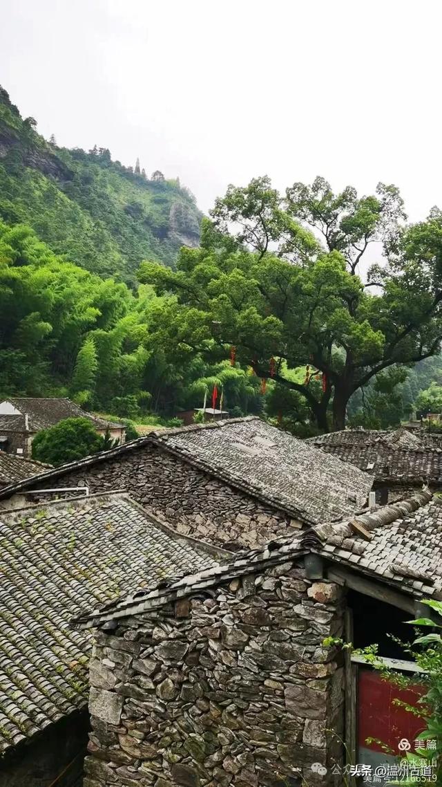 这座温州最具桃源的古村，避暑佳地，你可去过？