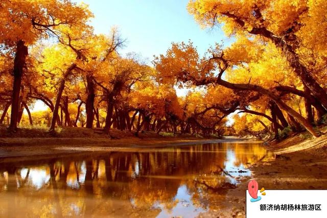 九月十月，额济纳正式进入“封神期”！这份秋日旅行攻略请收好！