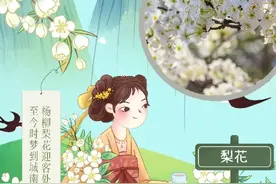 花漫善城 春满滕州 | 第十三届梨花节将于3月29日盛大开幕图片