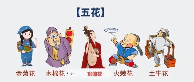 “五花八门”，指的是哪五花、哪八门？