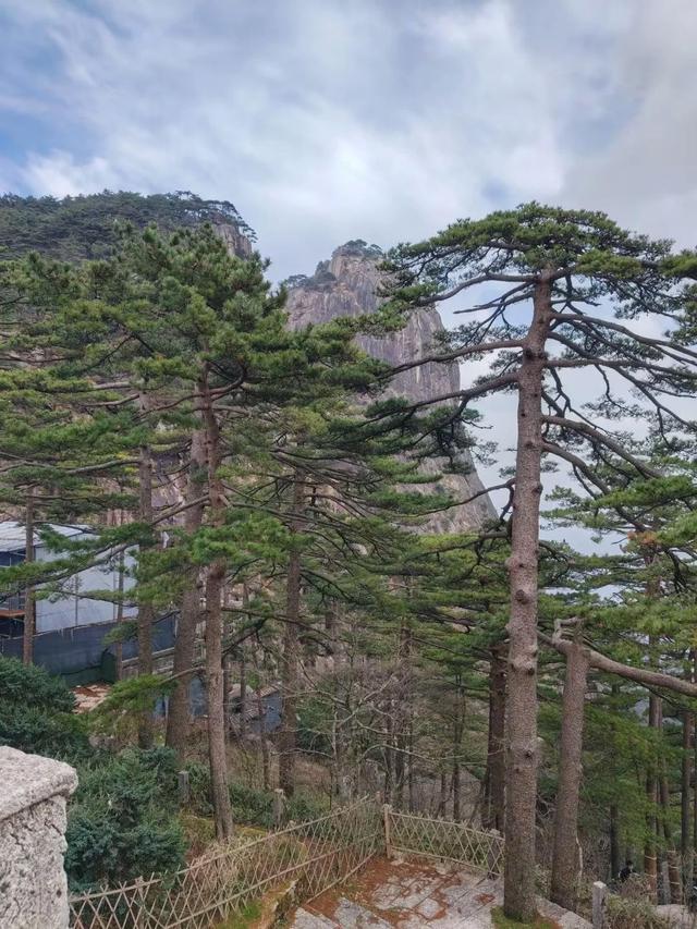 漫步黄山松掩山丛树杪，云隐仙踪徒步蹬道千阶