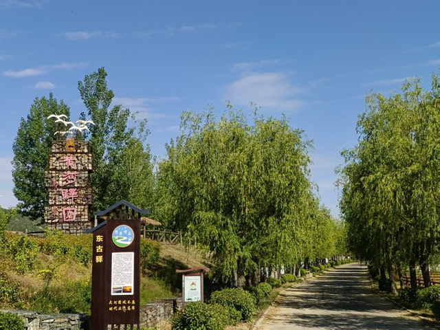 当黄河映驼影，这一刻仿佛穿越了丝路时光！