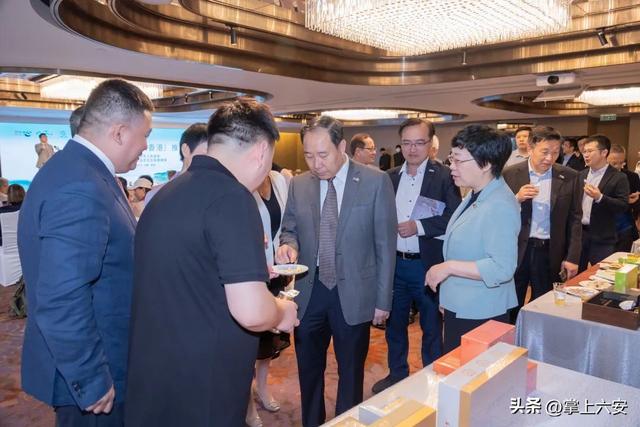 山水六安亮相香港，邀世界共赴康养之约
